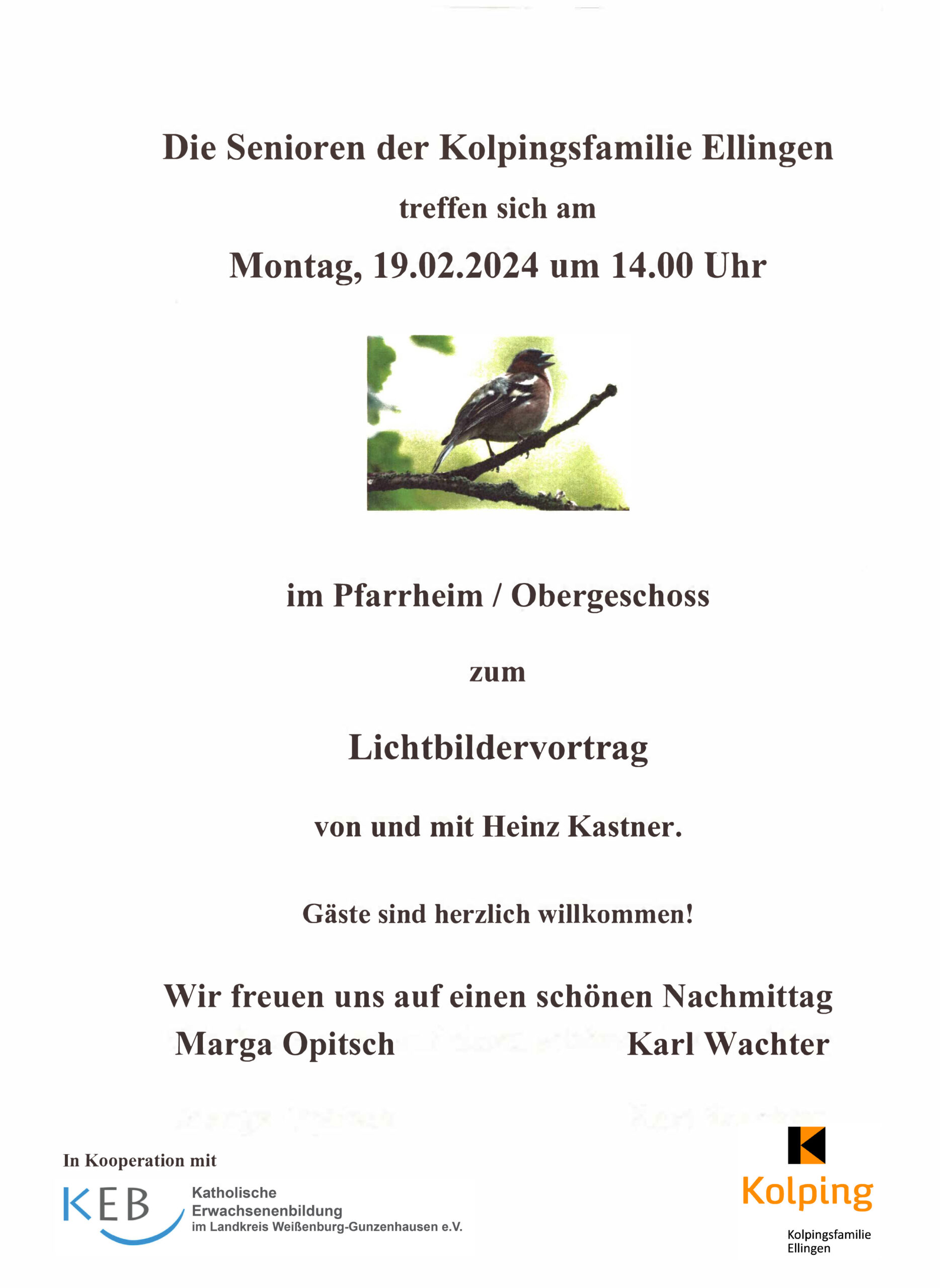 Lichtbildervortrag von Heinz Kastner in Ellingen. Plakat mit Vogel.
